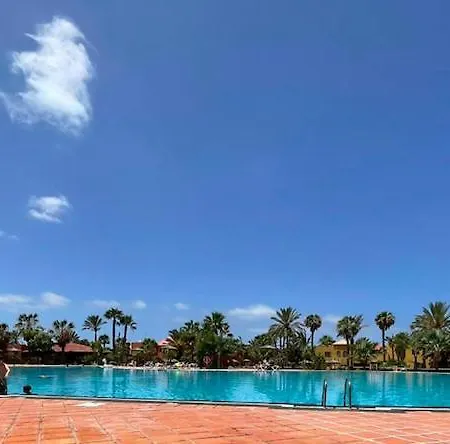 Casa Cayenne - Stylish With Ocean/dune View Apartment *